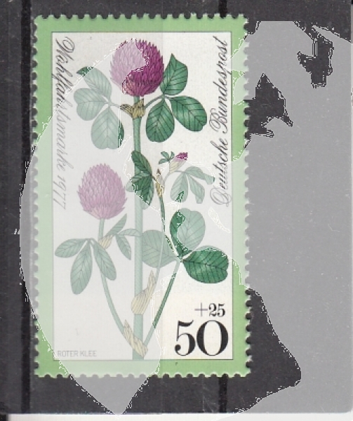 NSR 0951 ** - 1977